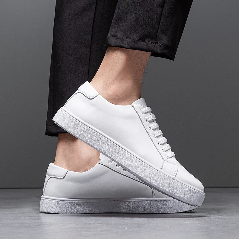 Harrington | Premium Leather Sneakers